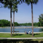 dls-swimmingpool-park